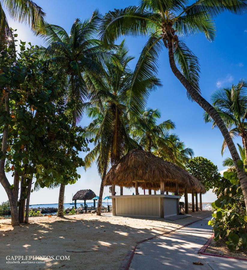 Amoray Dive Resort Key Largo Exterior photo